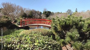 Slo-mo pov towards red bridge over pond, surrounded by green foliage, Ju Raku En Japanese Garden, Toowoomba, Australia