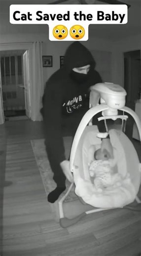 When the real hero wears fur, not a cape! 🐱💪👶