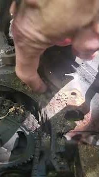 Ford 460 Big Block 93 F250 Timing Chain Cover Water Leak is Common Hard To Fix Problem!