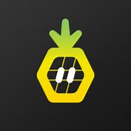Steam Franchise: Pineapple Works