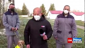18K views · 217 reactions | Přinášíme reportáž televize @CNN Prima NEWS s generálním ředitelem Petrem Dohnalem z věznice Jiřice. | Vězeňská služba České republiky | Facebook