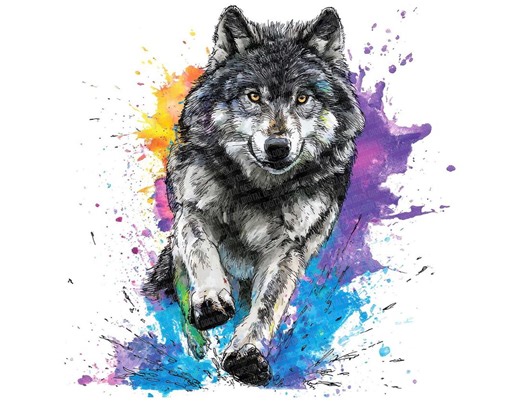 Wolf PNG Clipart, 12x Running Wolf Art Set, Printable Watercolor Clip Art, Transparent PNG, Digital Download, Splash Background Animal Art - Etsy