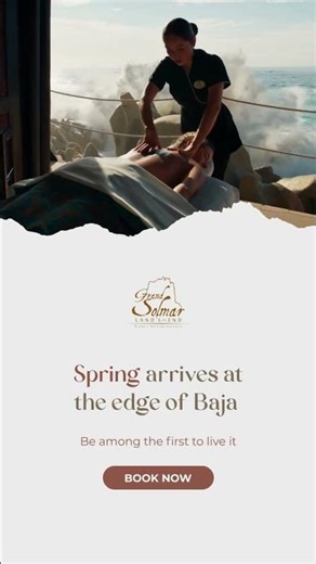 Spring at the Edge of Cabo