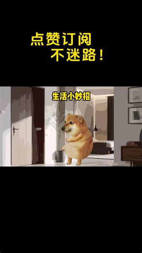 20块药费竟然还有说法… #搞笑 #cheems小剧场 #cheems