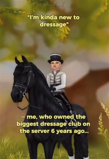 Reflections on Past Flex Moments in Star Stable Online