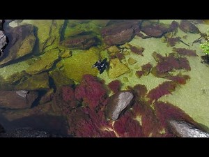 Rolex Perpetual Planet Initiative – Expedition Amazon: Through the Lens