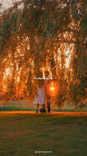 Love Story - Indila | lyrics | aesthetic | Whatsapp Status | English songs | speed up