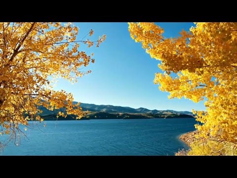 God's Beautiful Creation Free Video Footage @1MinuteVideo