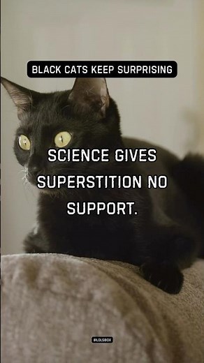 Black cats deserve better reputations. Science gives superstition no support.