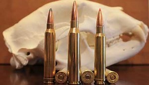 338 Norma vs 338 Lapua: Which Better For Your Gun? - Optics Bible