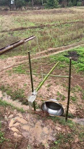 Eco-friendly Farm Pest Control Method