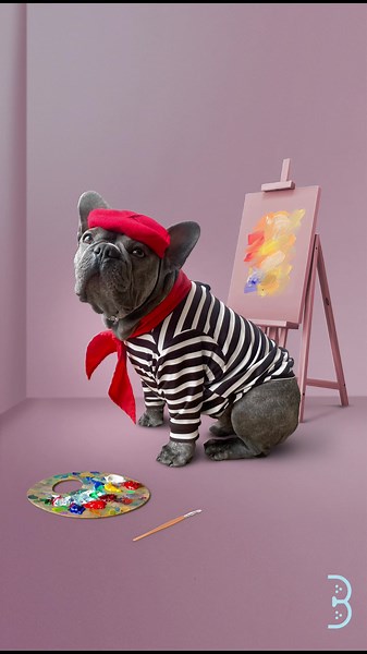 El disfraz de Halloween ideal para tus mascotas