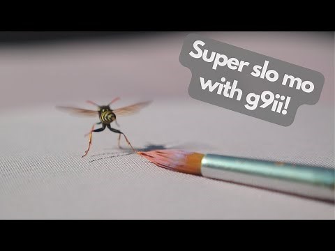 How to get to ultra slow motion footage (300p) with the Panasonic g9ii