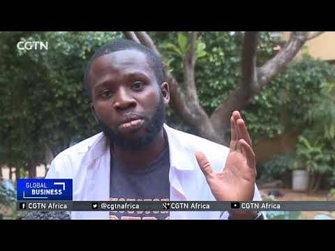 Sack farming pioneering agricultural techniques in Nigeria