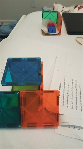 My pet ladybug! 🐞