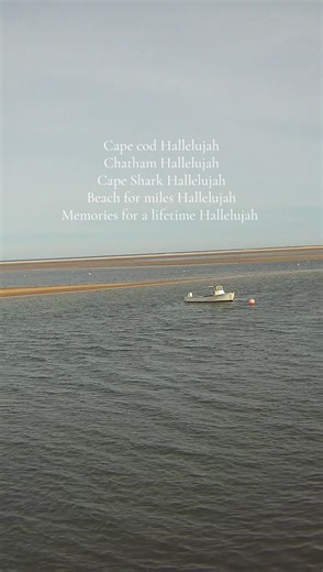 Cape Cod Summers>>> | cape cod