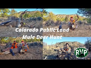 TWO Colorado Public Land Mule Deer Hunts