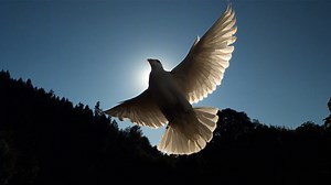 #sharethis #tellafriend Join us beginning this Thursday ✨ "It Stops With Me: Breaking Cycles and Familiar Patterns" 🌟 Discover the life-changing power of God's Word and embrace transformation today. 🙏 #TransformingGrace #BreakTheCycle #GodsPlan 💖 Register today ‼️ click the link ---> https://www.rhlc.us/prophetic24/ | Redemption House Life Center