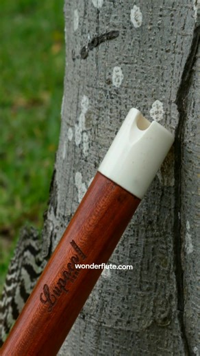 Peruvian Flutes 🇵🇪 Andean Sounds 🎵 Blessed Day 💛 @wonderflutestore . #flutists #flutelovers #flutemusic #flutistsoftiktok #fluteplayer #nativeflutes #peruvianmusic #wonderflutestore #quena