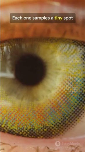 Your Vision’s Zoom Button: Cone Cells in 28s #scienceawards #brainhealth #brainresearch