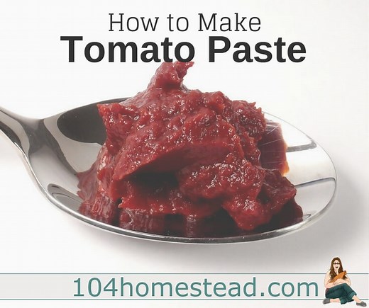 Homemade Tomato Paste That’s Worth the Time