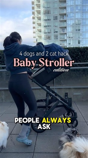 Why I Use Baby Strollers for My Pets Instead of Pet Strollers 🐾