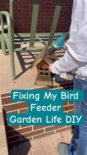 Fixing My Bird Feeder | Garden Life DIY