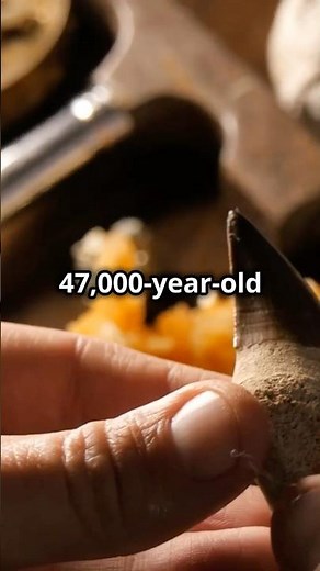 Tabon Man || 47,000 Year Old Fossils Unveiled! 🇵🇭