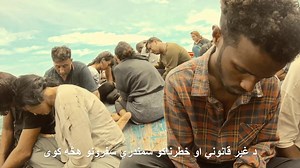 63K reactions · 733 shares | Zero Chance of Illegal Migration on Reels | Facebook