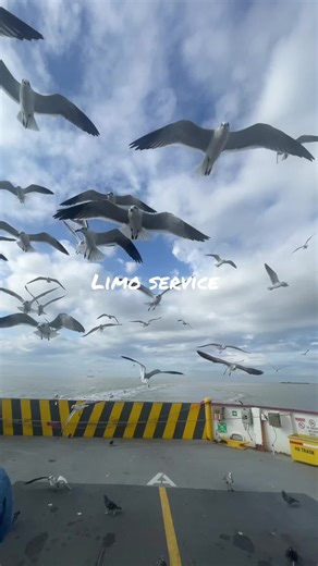 #limousines #booknow #limousineamazing #houston #sugarland #galveston