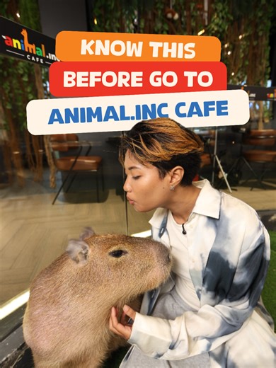 Before you step into Animal.inc… 🐾✨ just know you’re about to unlock something special 💛 It’s more than just playing with animals— it’s the moments, the connection, and all the little interactions that stay with you Every visit unlocks a different kind of happiness ✨ Open daily: Weekdays (Mon–Fri) 11AM – 9.30PM Weekends (Sat–Sun) & Public Holidays 10AM – 9.30PM Come unlock your own special moments at Animal.inc #animalincindonesia #cutemoments #pik2jakarta #goodvibes #EntertainmentDistrictPIK2