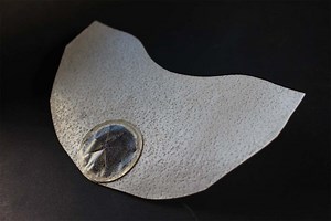 Bio-inspired glider collects data without leaving polluting e-waste