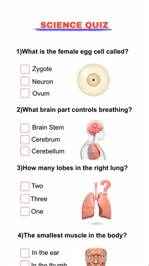 DNA questions trivia #dna #info #anatomy #trivia #greysanatomy | mindquiz