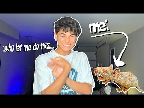 me, an ugly RODENT goes to VIDCON and MTV AWARDS RED CARPET