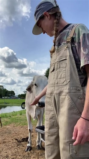 Not a day goes by that Emanuel doesn’t try my life | Farm Life