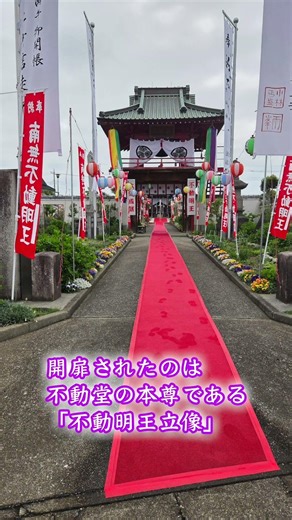 栃木・小山市 泉龍寺 乙女不動尊御開帳 #shorts