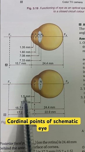 Schematic eye | Optometry solution