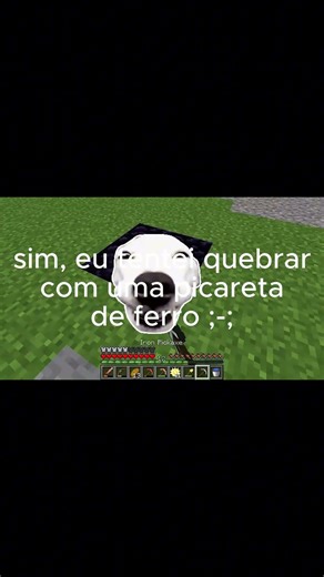 Rookie Mistake After 10 Years of Minecraft