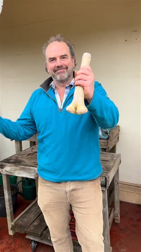 73K views · 2.1K reactions | Horseradish is seriously hot! It’s...