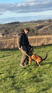 Every day is a training day 👏🏻 | Marley & Me Dog Training