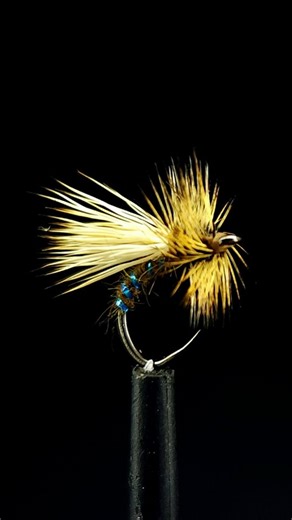 Troutlore on Instagram: "MORNING, NOON, OR NIGHT. This little Midge dry fly pattern can be fished any time of the day and will get attention from both Midge and Caddis feeders. Tied with a @goulburnsteel 3259 Pupa hook, @chucknduckflytying Hare & Squirrel dubbing, @whitingfarms Golden Badger hackle, and @veniardltd Cow Elk hair, all lashed together with @veevus_dk 8/0 thread. It's a high floating dry that skitters about the surface for maximum attention seeking behaviour. Once I've tied up enoug