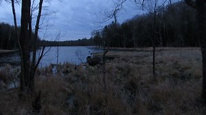 9.9K views · 342 reactions | Volume up!  Signs of spring are...