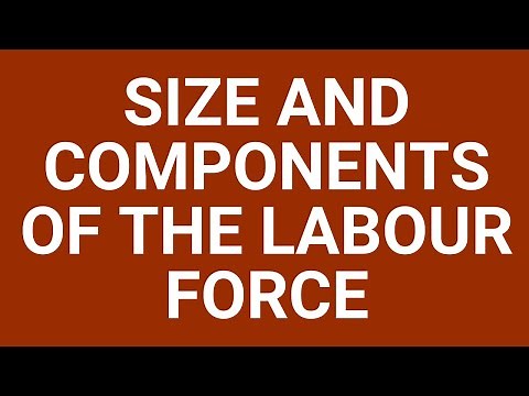 Size and components of the labour force