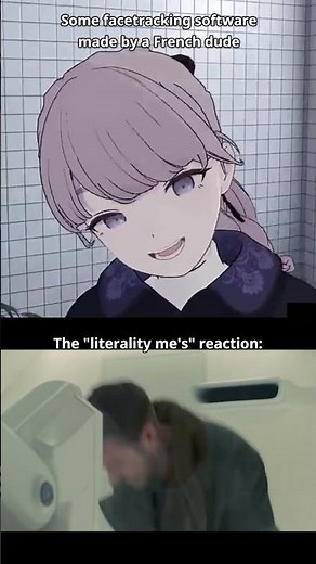 Just a facetracking addon for Lapwing