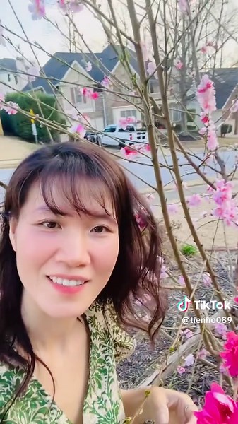 Peppermint Peach Tree Flowering Guide