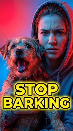 Dog Barking Too Much? Fix It Fast (5 Simple Tips)