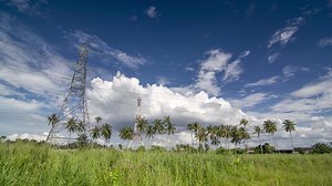 Timelapse electric tower over coconut trees