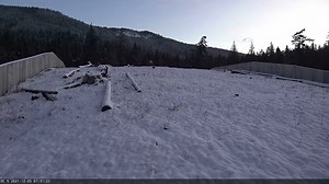 4K views · 149 reactions | Two coyotes run across the I-90 wildlife overpass in late November, 2021. | U.S. Forest Service - Okanogan-Wenatchee National Forest | Facebook