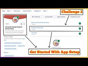 Consumer Goods Cloud for Service Setup | Salesforce Trailhead | Challenge 2