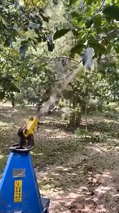 15K views · 140 reactions | Amazing inventions and gadgets of 2022 that make your life easier. | Darrin Henson | Facebook